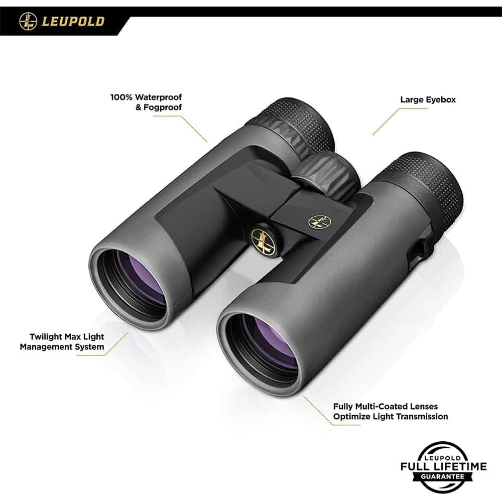 Leupold BX-2 Alpine HD 10x42 - Review 2025 - Outoria